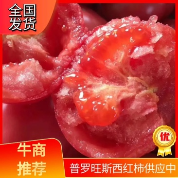 【西红柿】普罗旺斯水果西红柿陕西泾阳产地直发欢迎对接