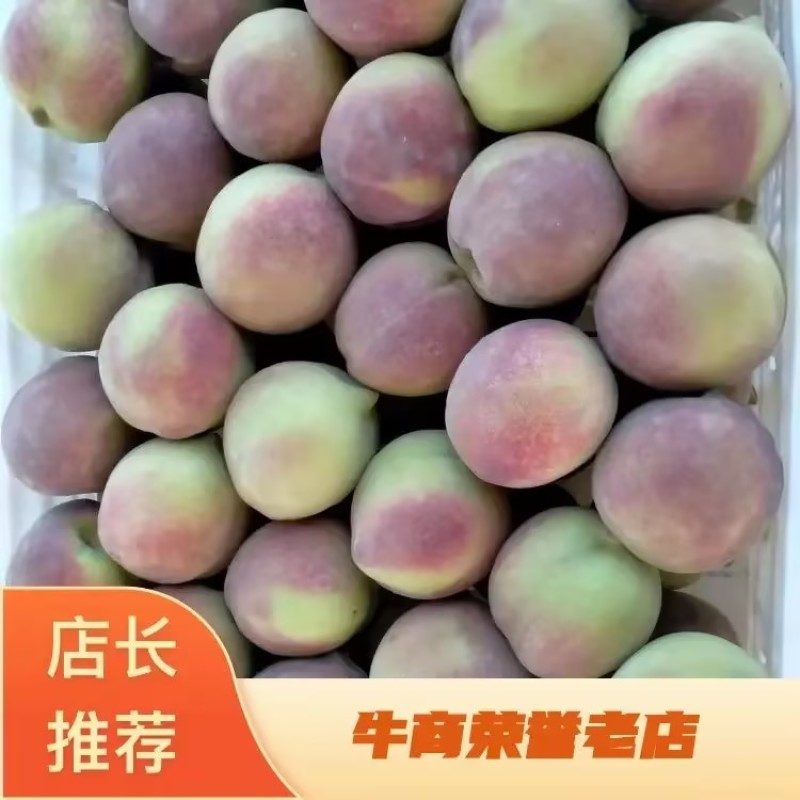 青州蜜桃离核毛桃全红蜜山东毛桃货源稳定欢迎致电