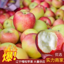 【嘎啦苹果】绥中嘎啦苹果脆甜多汁原产地直发量大从优