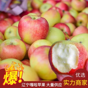 【嘎啦苹果】绥中嘎啦苹果脆甜多汁原产地直发量大从优