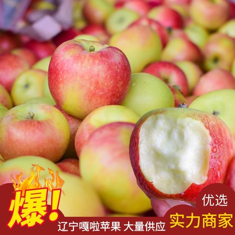 【嘎啦苹果】绥中嘎啦苹果脆甜多汁原产地直发量大从优
