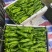 精品泡椒/对接/电商/批发商/大型超市，产地直发。