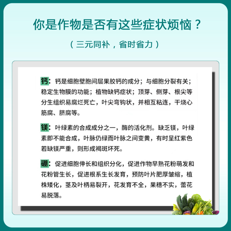 高含量钙镁硼水溶肥保果防裂膨果上色增甜柑橘瓜果蔬菜通用