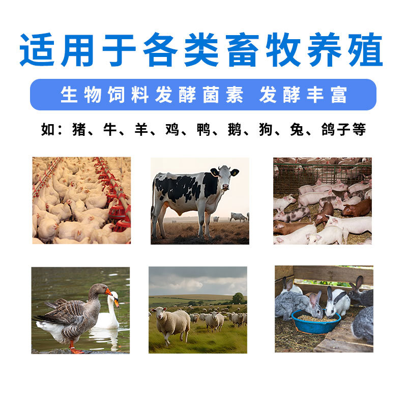 生物饲料发酵剂防霉保鲜质量保证厂家货源欢迎下单采购
