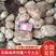云南高原红土地丽薯六号新鲜土豆口感香糯规格齐全产地发货
