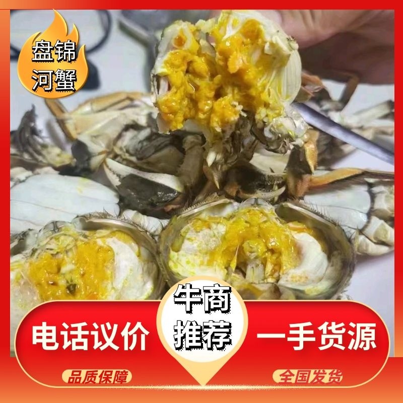 辽宁盘山常年批发盘锦稻田河蟹规格齐全全国均可发货