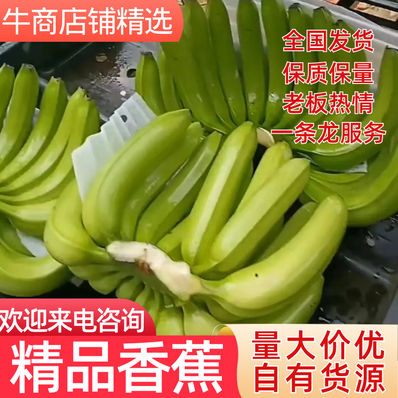 香蕉，精品香蕉，云南香蕉，对接全国市场商超