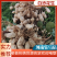鲜花生大量有货个大仔粒饱满纯沙地的品质保证欢迎咨询