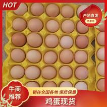 湖北仙桃玉米黄鸡蛋，优质新鲜货源充足欢迎订购。