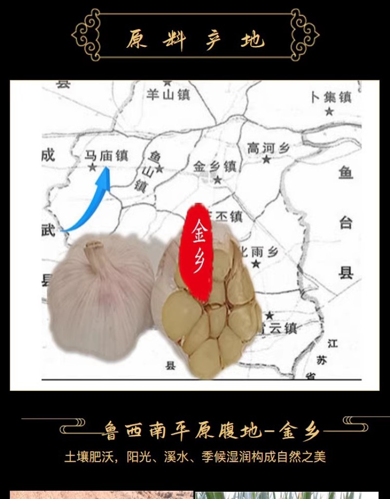 黑蒜金乡独头120天发酵精品黑大蒜头山东特产零食高端礼盒
