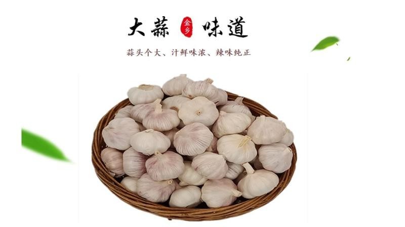 金乡白皮大蒜混级统货精美小包装出口品质5斤一箱包邮