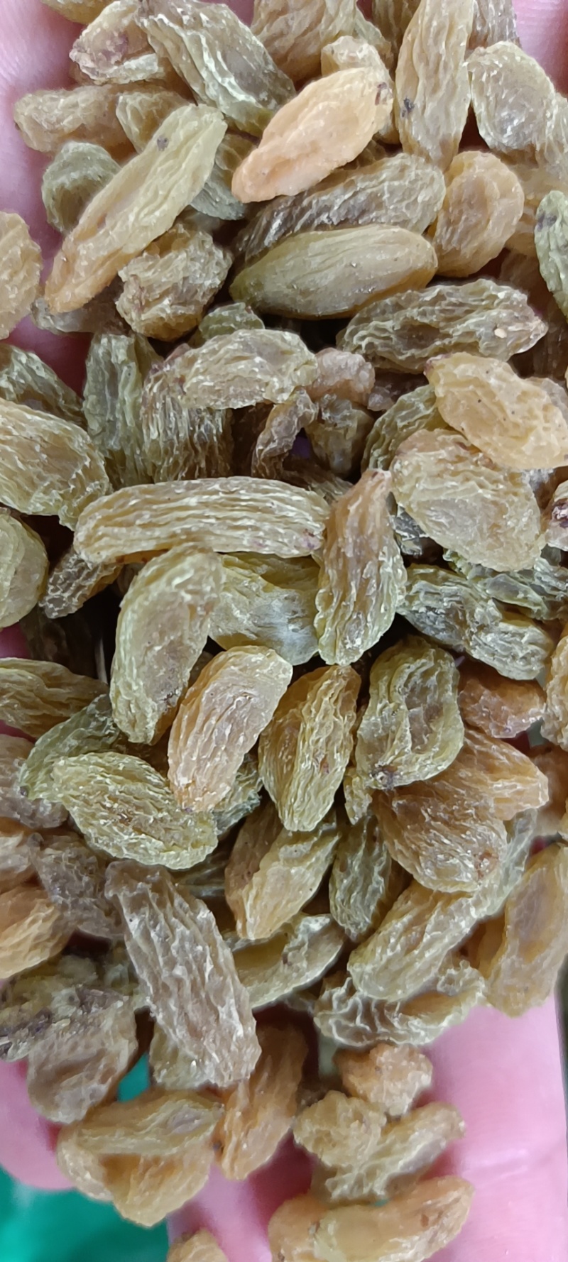 新疆葡萄干绿香妃葡萄干厂家批发电商商超社区袋装支持代