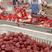 网红带货新疆干红枣和田大枣源头厂家对接多种合作模式