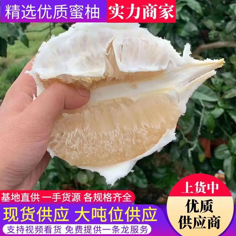 蜜柚琯溪白心柚柚子大量上市产地直供量大从优价格便宜