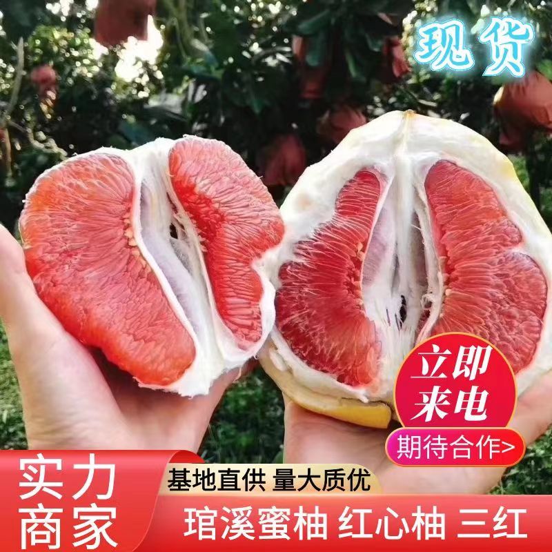 红心柚子精品蜜柚红心蜜柚三红柚品种齐全量大从优
