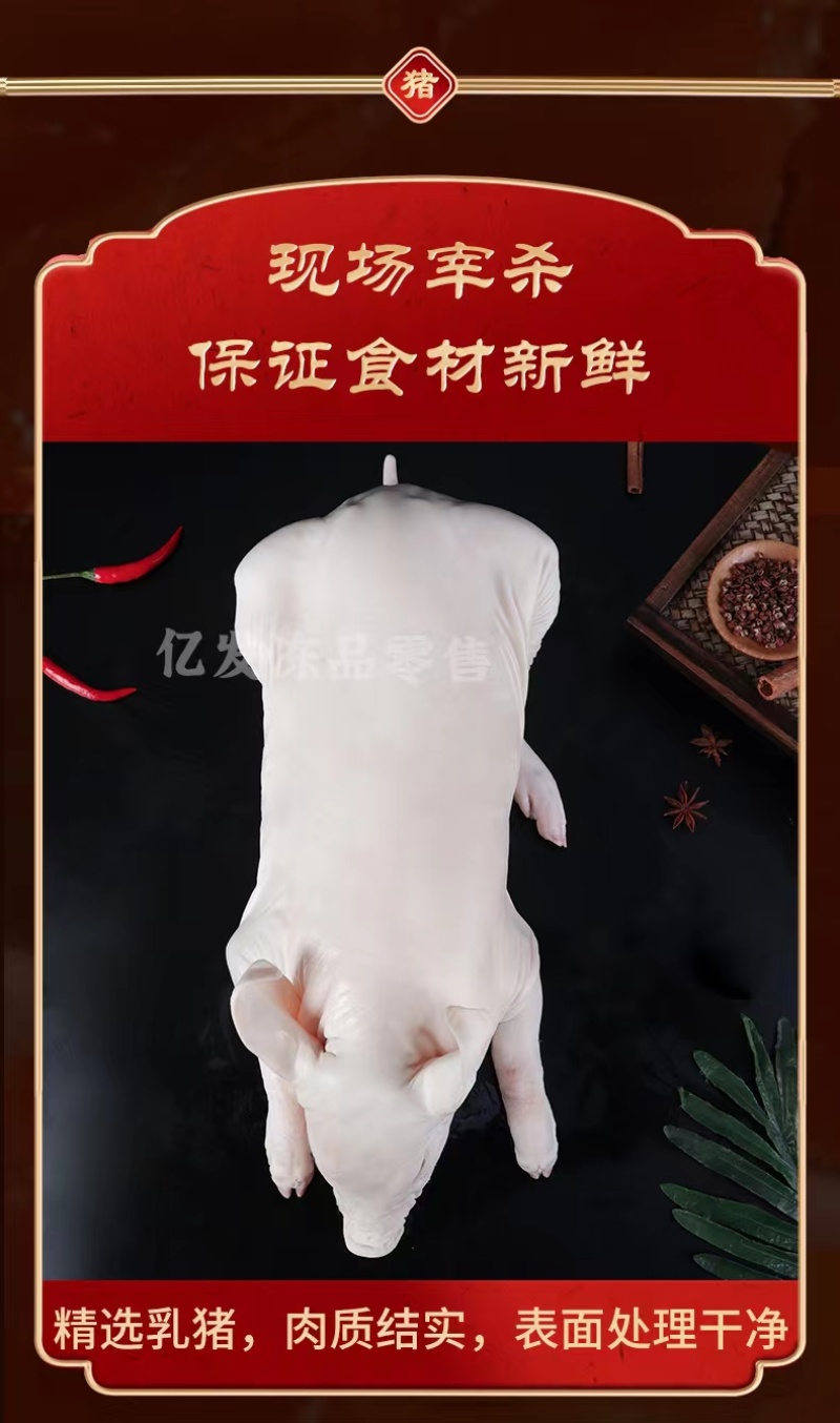 精品鲜冻乳猪脆皮乳猪厂家直发证件齐全一手货源来电咨询