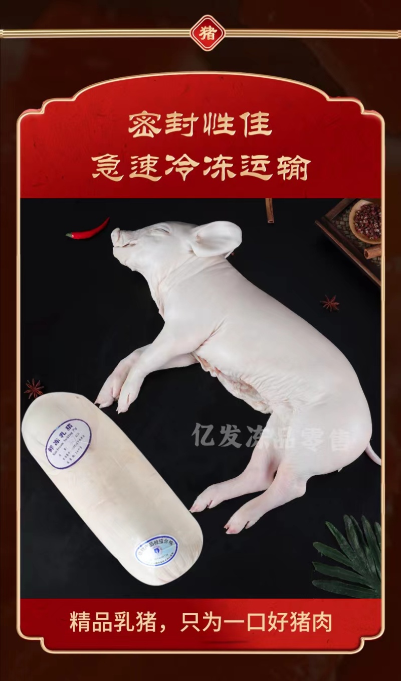 精品鲜冻乳猪脆皮乳猪厂家直发证件齐全一手货源来电咨询