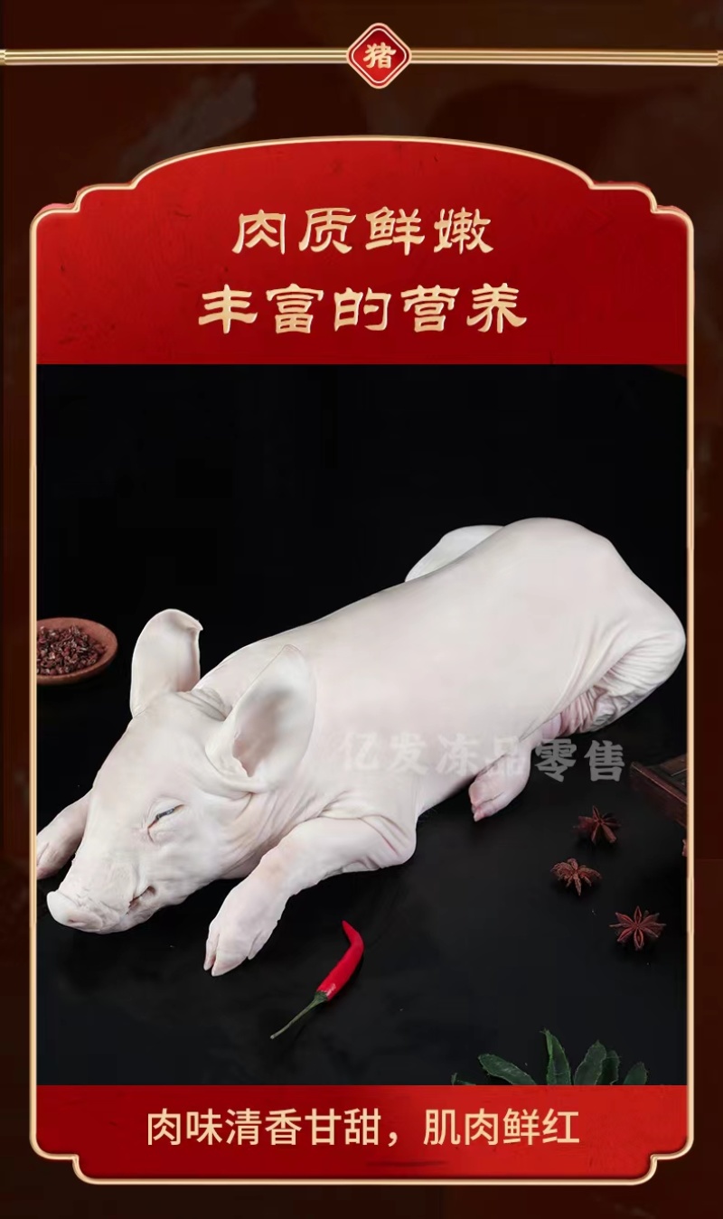 精品鲜冻乳猪脆皮乳猪厂家直发证件齐全一手货源来电咨询