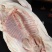 精品鲜冻乳猪脆皮乳猪厂家直发证件齐全一手货源来电咨询