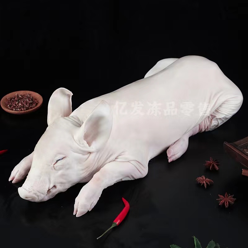 精品鲜冻乳猪脆皮乳猪厂家直发证件齐全一手货源来电咨询
