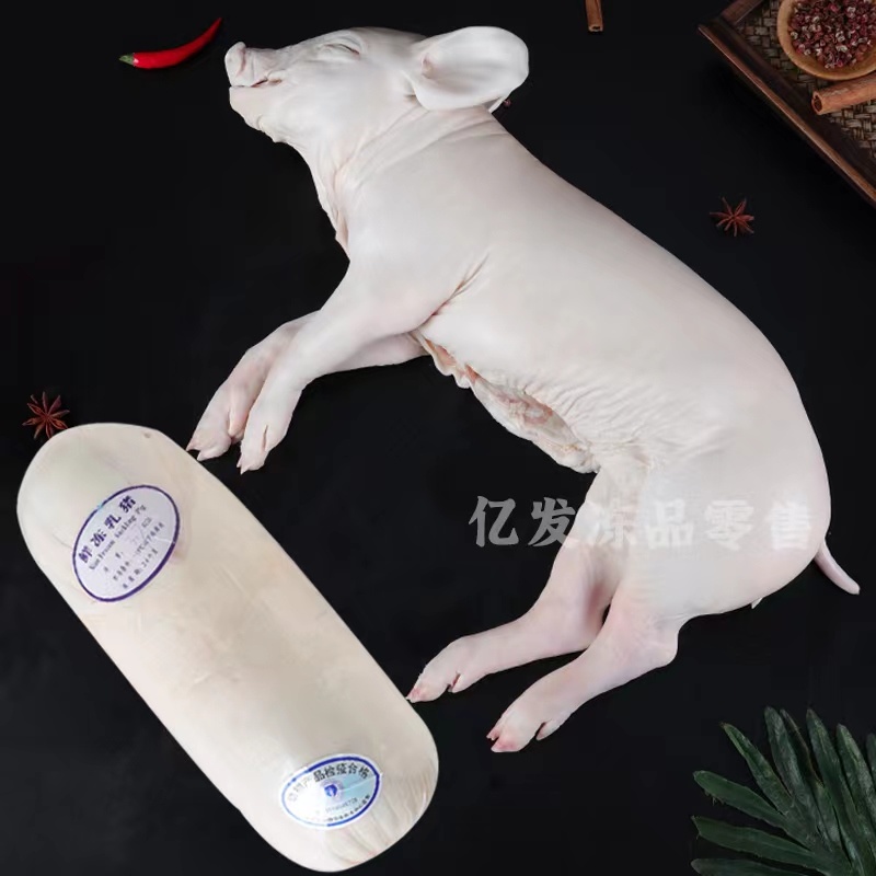 精品鲜冻乳猪脆皮乳猪厂家直发证件齐全一手货源来电咨询