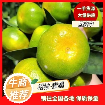 东江湖蜜桔大量供货皮薄味美对接全国服务完善欢迎咨询