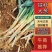 【铁杆大葱】山西忻州精品大葱种植户直发价格优惠全国供应