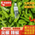 黑龙江本地鲜辣椒大量供应产地直发货源充足欢迎实地考察电联