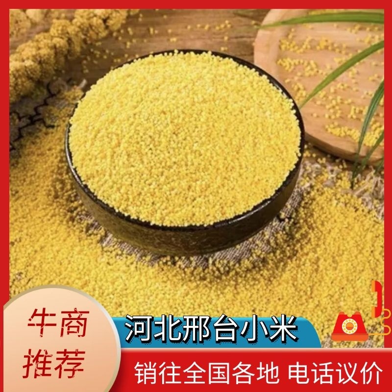 小米河北邢台小米，品质保证，价格真实欢迎选购