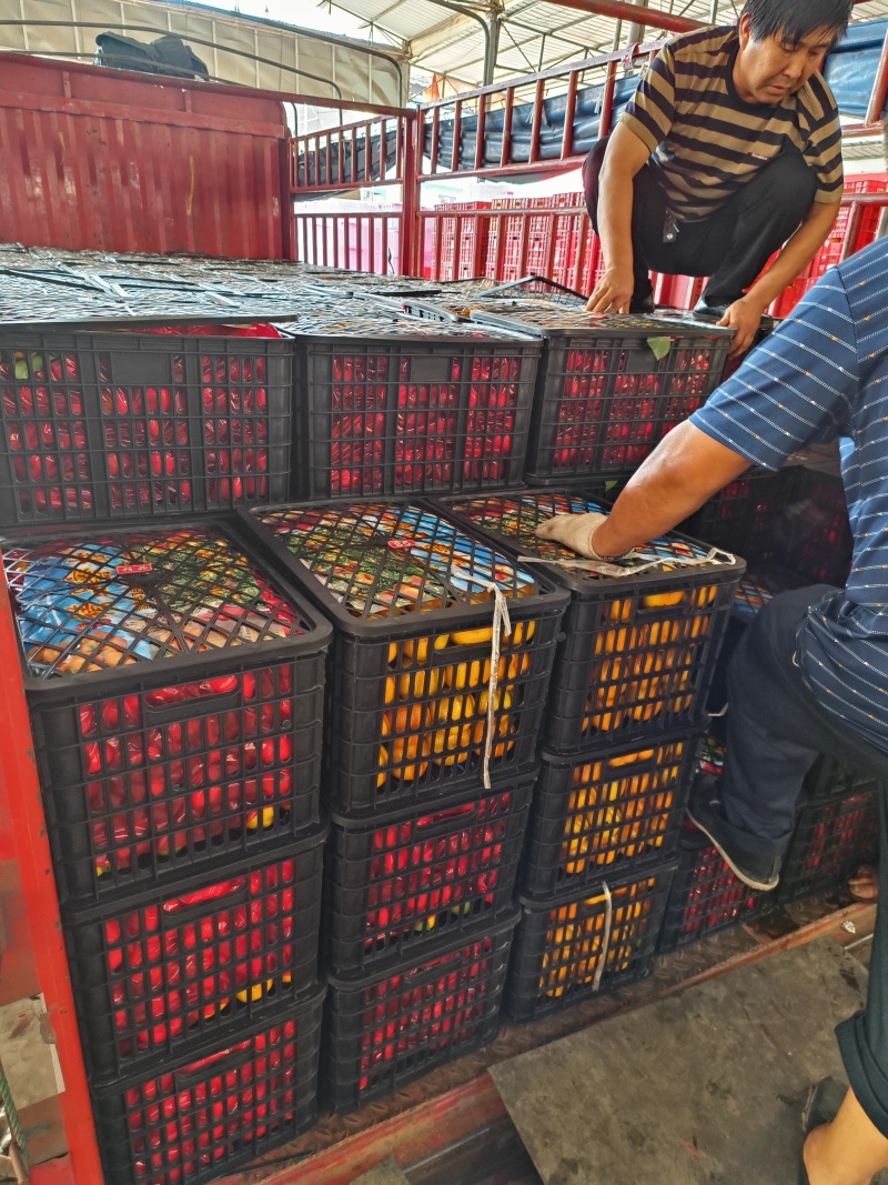 【实力推荐】资阳蜜桔产地直发对接电商市场提供代发