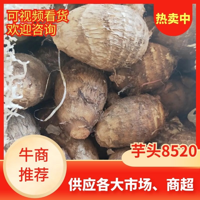 【芋头优质毛芋头8520】品质好，糯，承接电商社区。