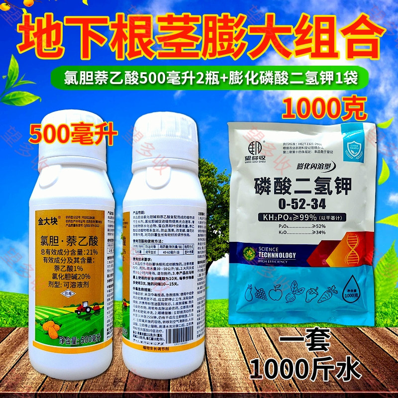 21%氯胆萘乙酸马铃薯花生土豆山药地下根茎膨大剂调节生长