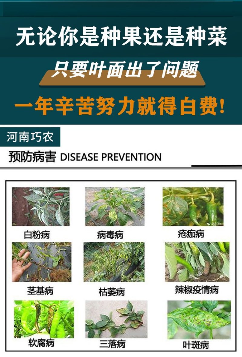 多丰收辣椒叶面肥果蔬专用肥料提高作物产量