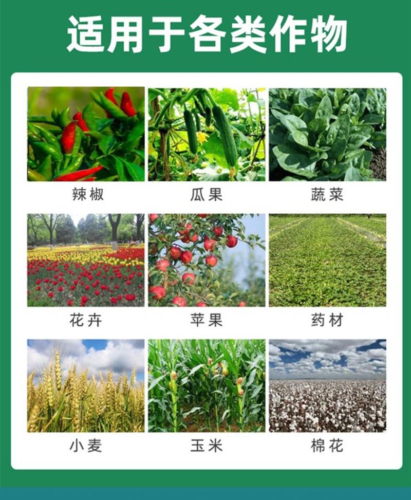 多丰收辣椒叶面肥果蔬专用肥料提高作物产量