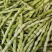 【白芸豆】辽宁九粒白芸豆大量上市对接各大市场电商