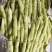 【白芸豆】辽宁九粒白芸豆大量上市对接各大市场电商