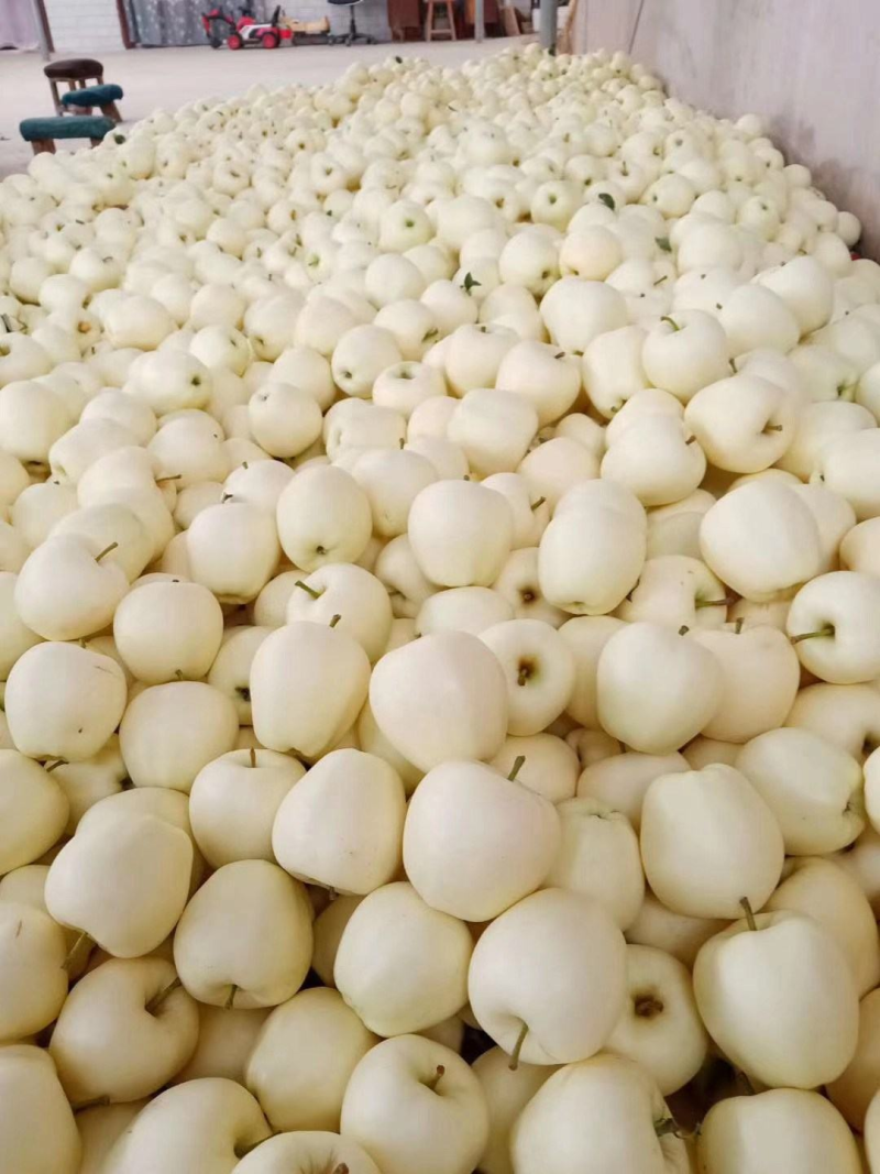 黄元帅