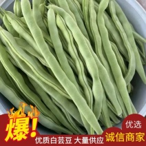 【白芸豆】辽宁九粒白芸豆大量上市对接各大市场电商