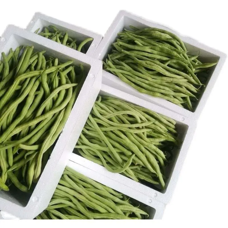 【架豆王豆角】辽宁四季豆精品豆角产地直发货源充足