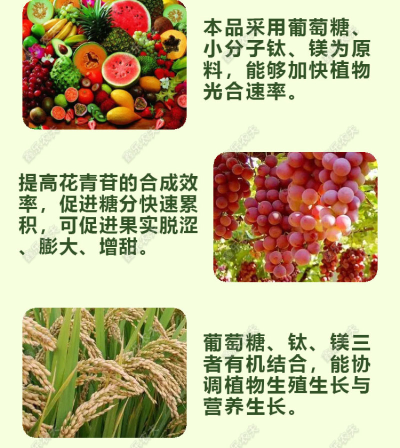 葡萄糖肽镁降酸增甜膨果上色防裂补充营养增加果实的口感