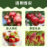 葡萄糖肽镁降酸增甜膨果上色防裂补充营养增加果实的口感