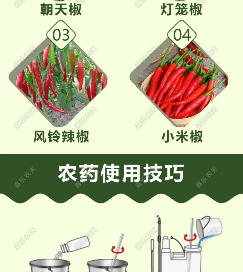 辣椒膨大拉直素水溶肥辣椒朝天椒小米椒补充营养拉直拉长