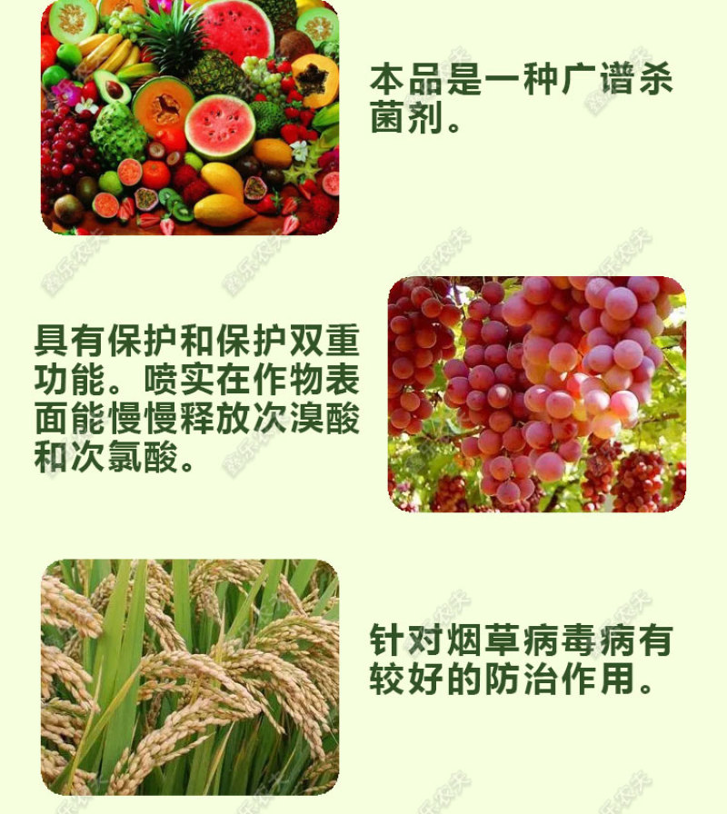 氯溴异氰尿酸50%溃疡病穿孔病青枯病流胶病根腐病杀菌剂