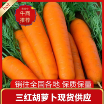 精品胡萝卜开封三红胡萝卜大量供应中包装齐全品质