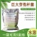 巨大芽孢杆菌生物菌厂家直发一手货源量大从优