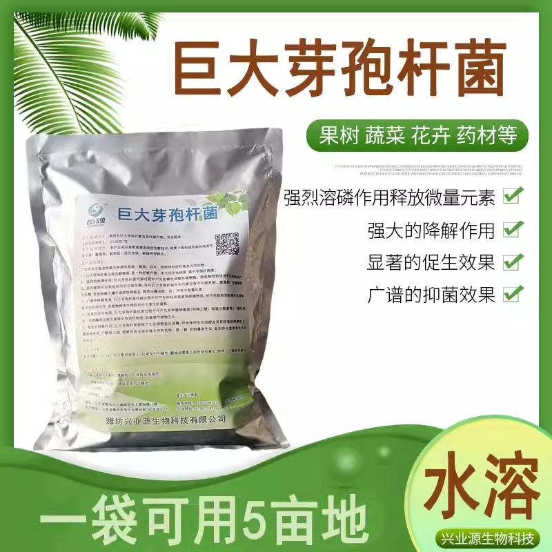 巨大芽孢杆菌生物菌厂家直发一手货源量大从优