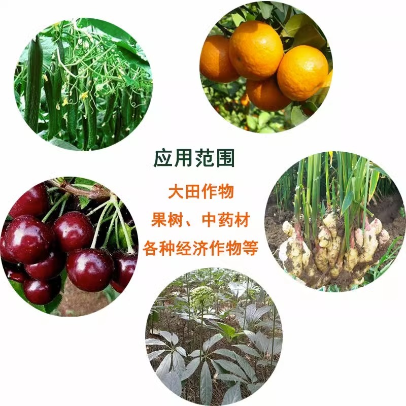 巨大芽孢杆菌生物菌厂家直发一手货源量大从优