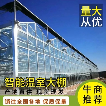 山东大棚智能温室大棚成套大棚厂家直发可提供技术指导