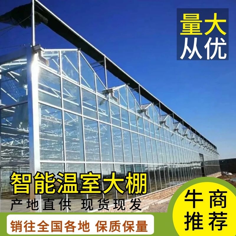 山东大棚智能温室大棚成套大棚厂家直发可提供技术指导