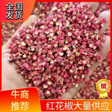 汉源小李，花椒苹果李子代办